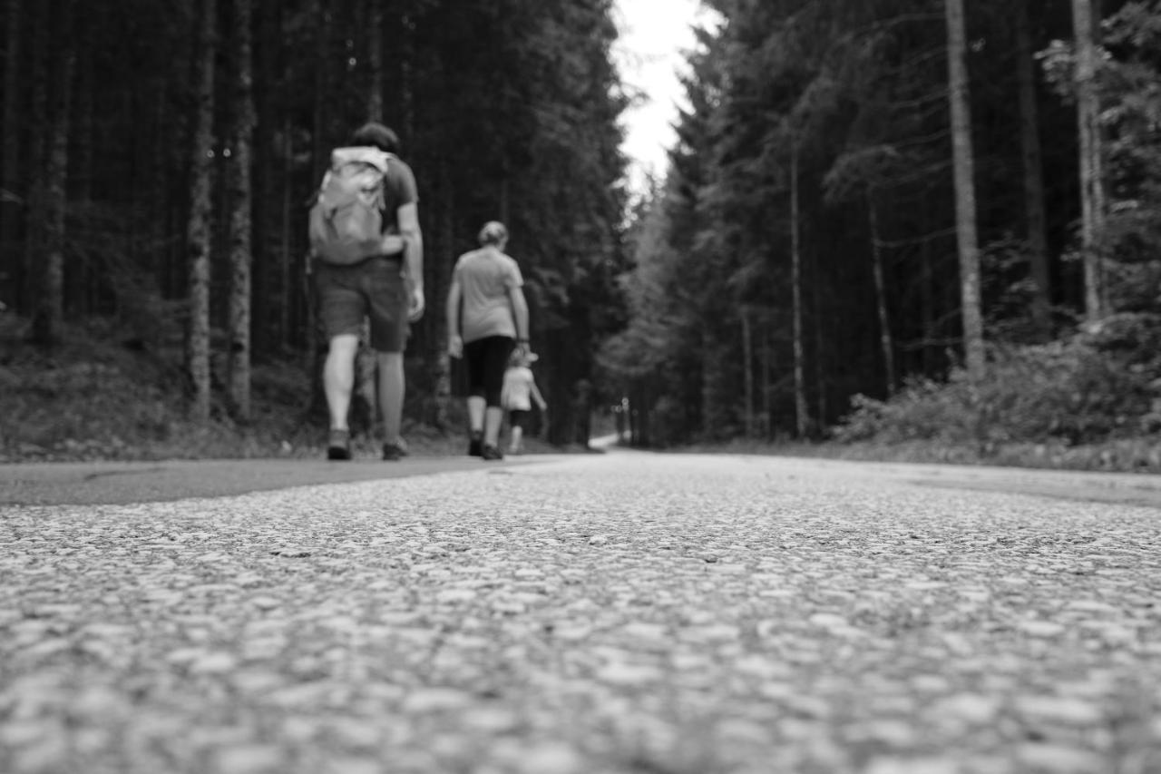 Erlebnisbauernhof Steinerhof In Kaernten Liebenfels Esterno foto