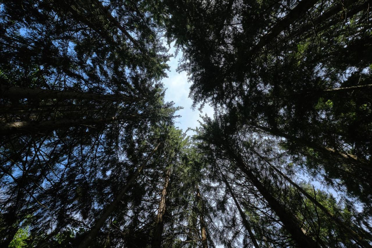 Erlebnisbauernhof Steinerhof In Kaernten Liebenfels Esterno foto
