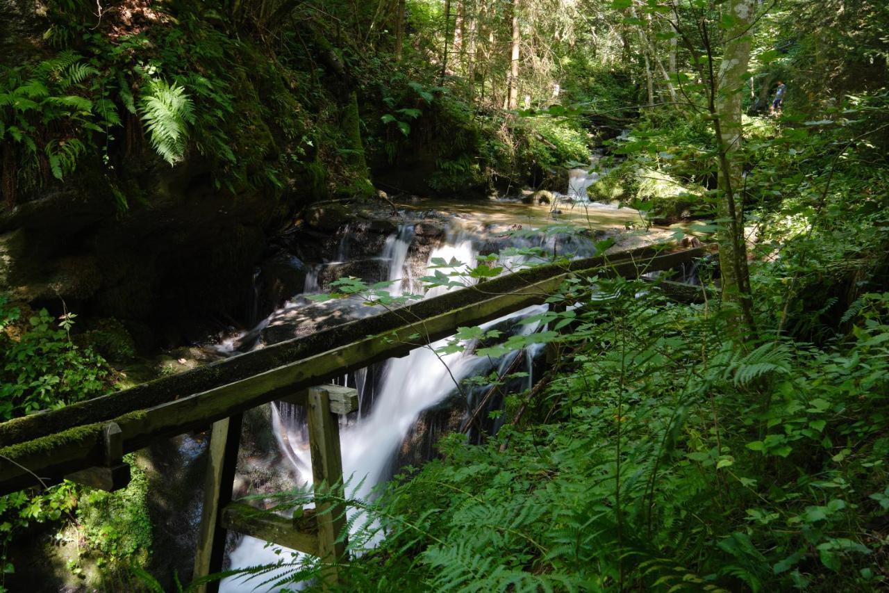 Erlebnisbauernhof Steinerhof In Kaernten Liebenfels Esterno foto
