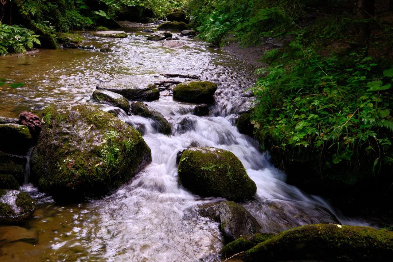 Erlebnisbauernhof Steinerhof In Kaernten Liebenfels Esterno foto