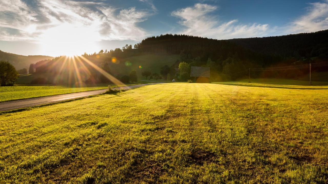 Erlebnisbauernhof Steinerhof In Kaernten Liebenfels Esterno foto