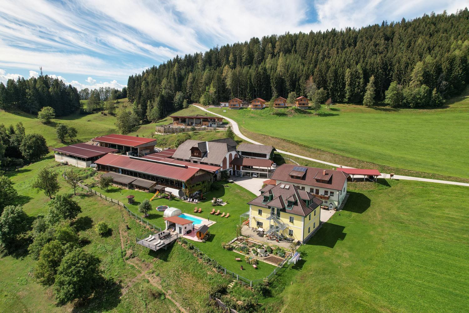 Erlebnisbauernhof Steinerhof In Kaernten Liebenfels Esterno foto