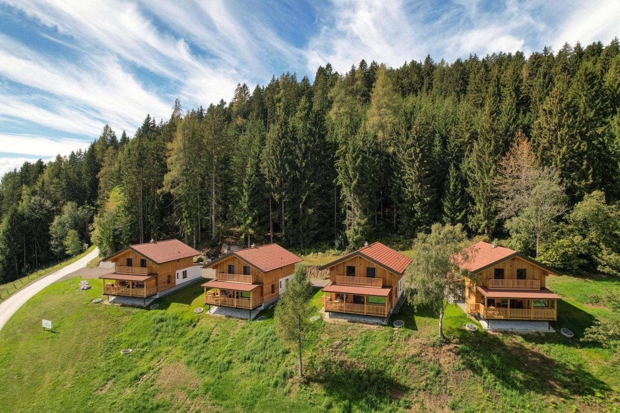 Erlebnisbauernhof Steinerhof In Kaernten Liebenfels Esterno foto